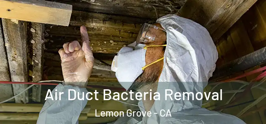 Air Duct Bacteria Removal Lemon Grove - CA