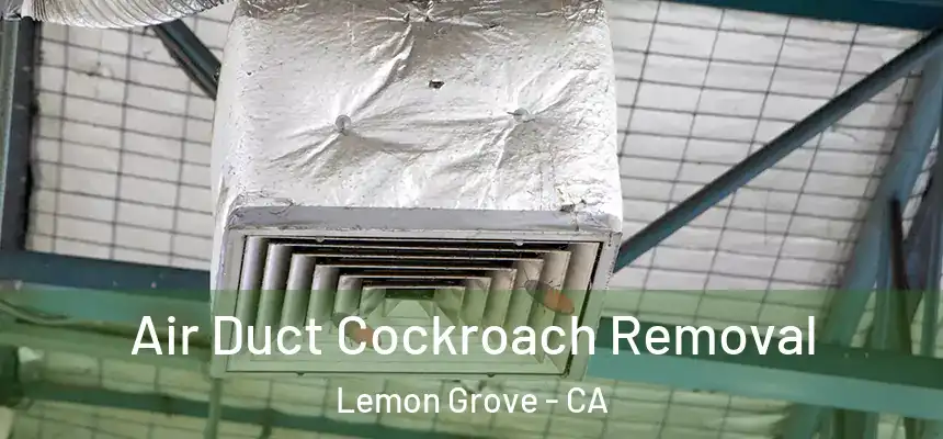  Air Duct Cockroach Removal Lemon Grove - CA