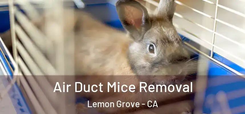 Air Duct Mice Removal Lemon Grove - CA
