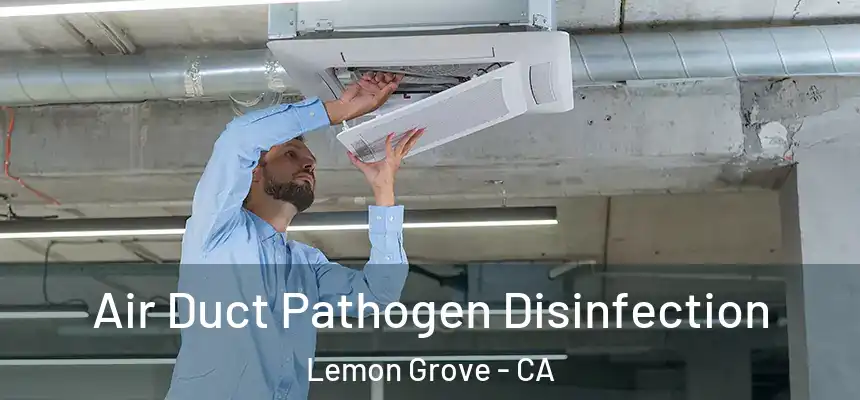 Air Duct Pathogen Disinfection Lemon Grove - CA