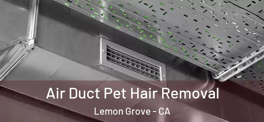  Air Duct Pet Hair Removal Lemon Grove - CA
