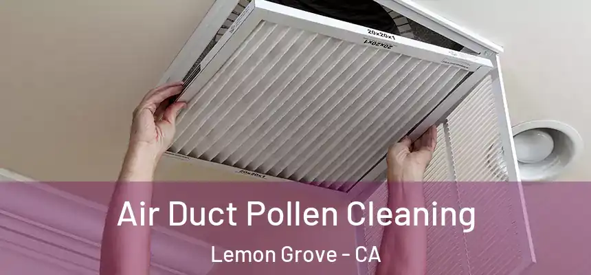 Air Duct Pollen Cleaning Lemon Grove - CA
