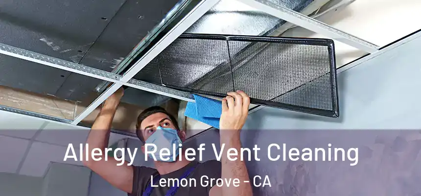 Allergy Relief Vent Cleaning Lemon Grove - CA