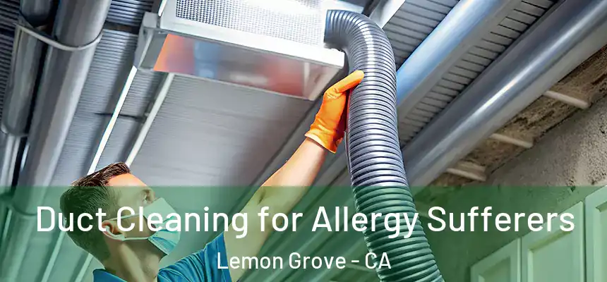  Duct Cleaning for Allergy Sufferers Lemon Grove - CA