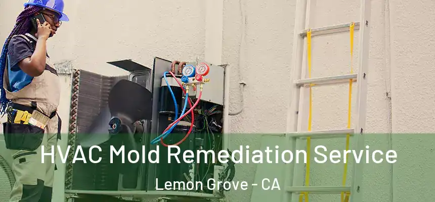 HVAC Mold Remediation Service Lemon Grove - CA