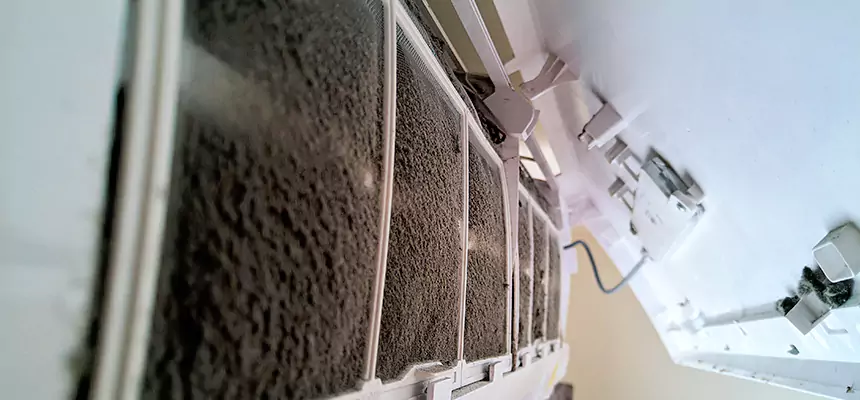 Preventive Air Duct Bacteria Removal in Lemon Grove