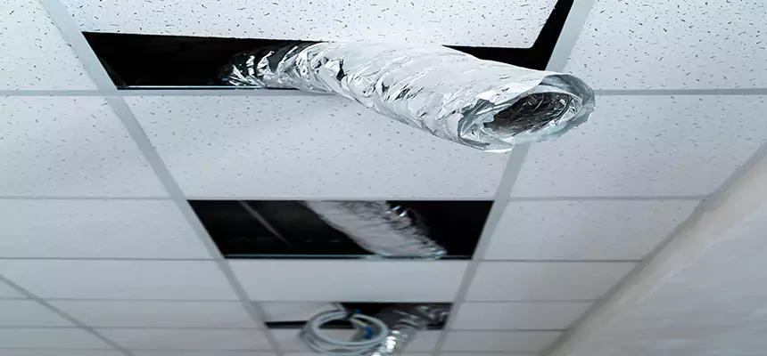 Affordable HVAC Sanitizing After Pest Removal in Lemon Grove