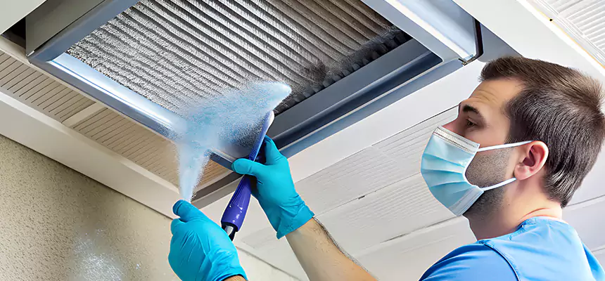 Proactive Dryer Vent & Auxiliary Duct Pollen Cleanup in Lemon Grove, CA