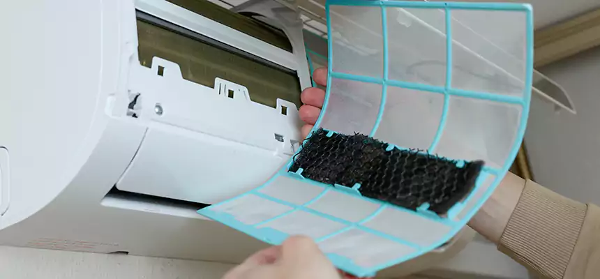 Gentle Ductwork Odor-Control Pet Dander Duct Cleaning in Lemon Grove, CA