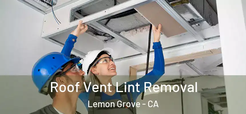 Roof Vent Lint Removal Lemon Grove - CA