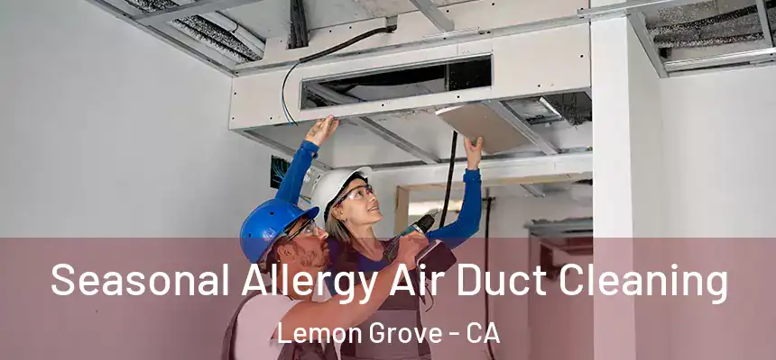  Seasonal Allergy Air Duct Cleaning Lemon Grove - CA
