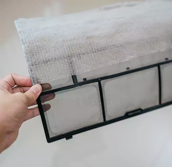 Why Homeowners & Businesses Trust Us in Lemon Grove, CA?