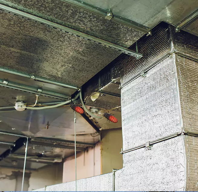 Why Homeowners & Businesses Trust Us Lemon Grove, CA?