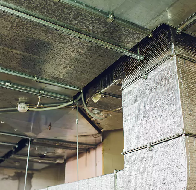 Why Homeowners & Businesses Trust Us in Lemon Grove, CA?