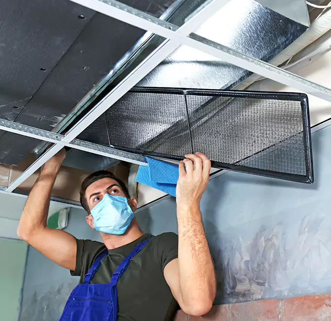 Why Homeowners & Businesses Trust Us in Lemon Grove, CA?